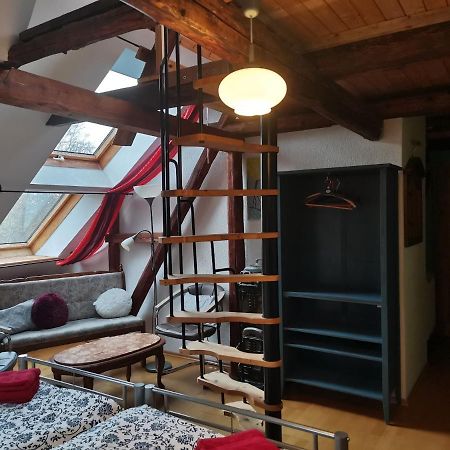 Apartmán Appel-Ranch Bockelwitz Exteriér fotografie