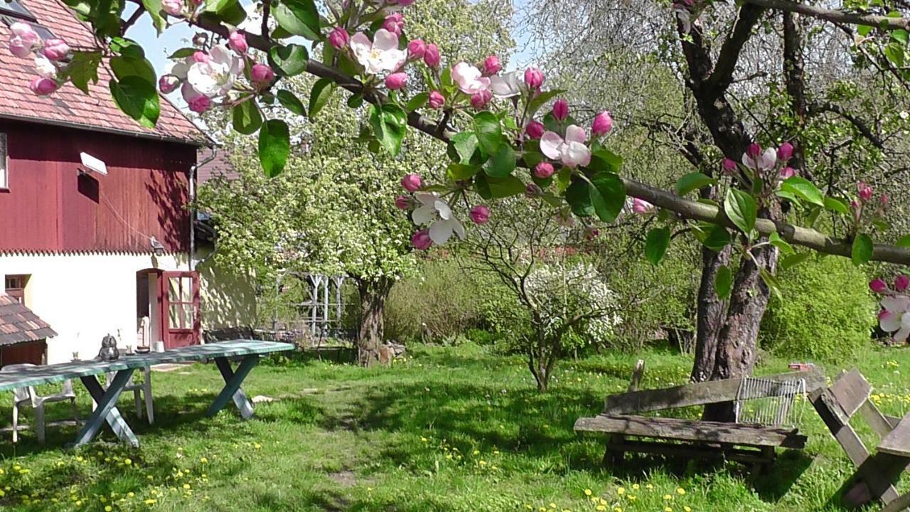 Apartmán Appel-Ranch Bockelwitz Exteriér fotografie