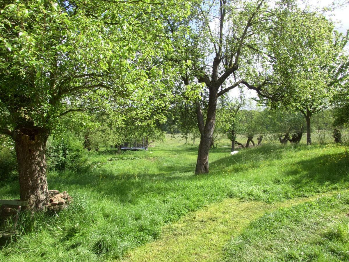 Apartmán Appel-Ranch Bockelwitz Exteriér fotografie