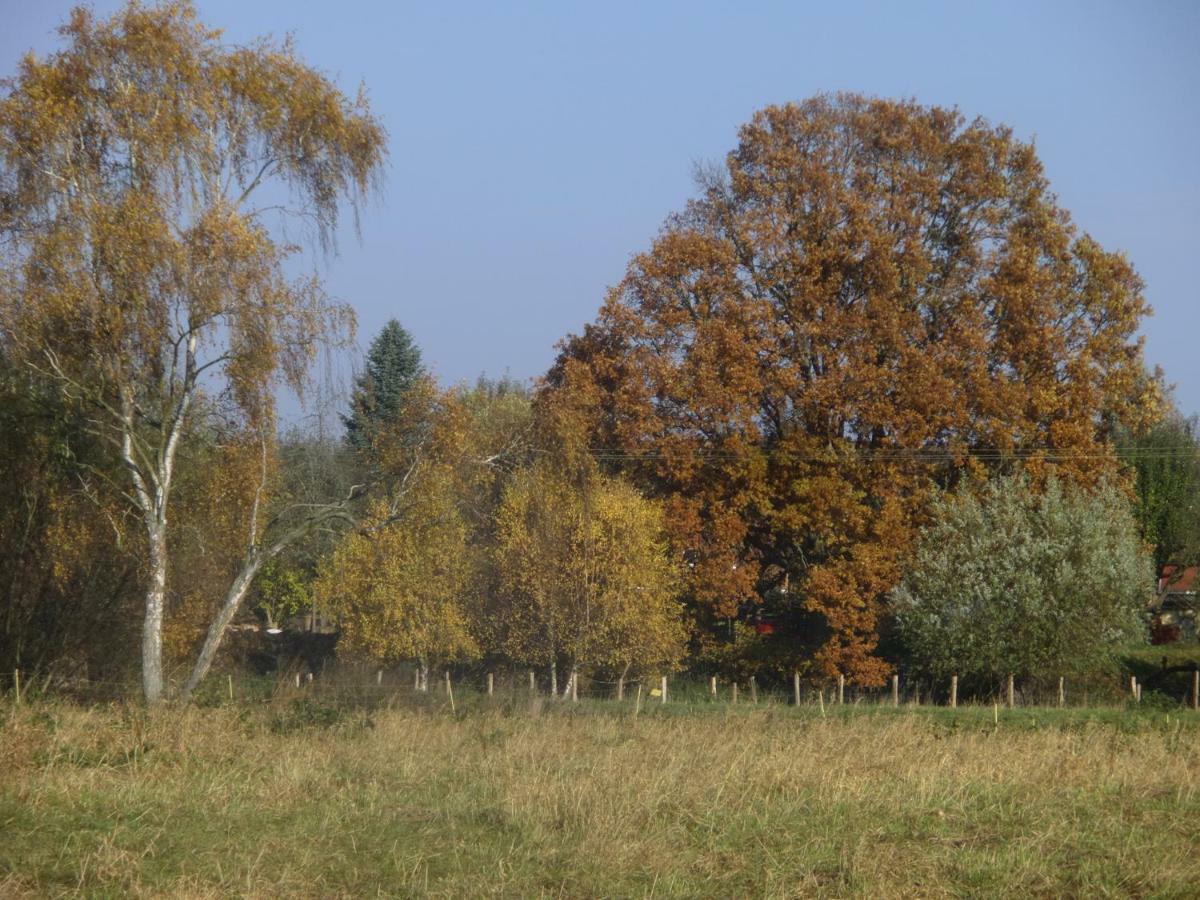 Apartmán Appel-Ranch Bockelwitz Exteriér fotografie